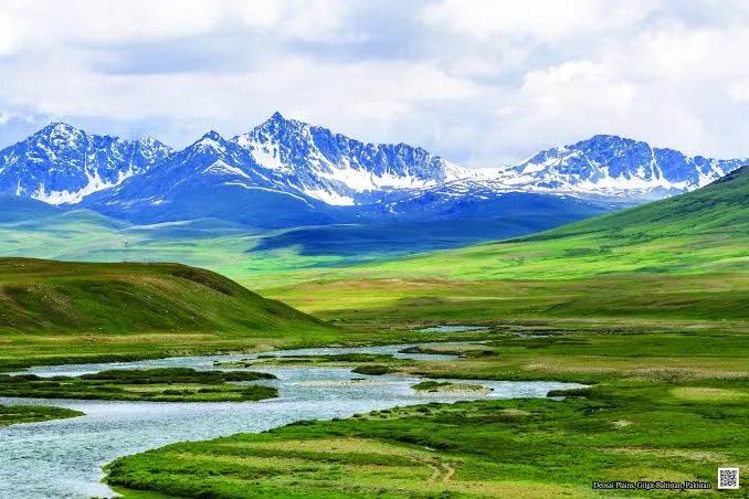 Deosai Plains