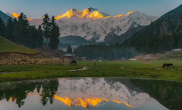 Fairy Meadows