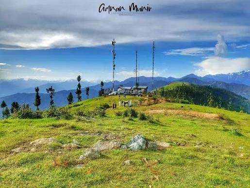 Shangla Top